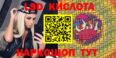 дживик Бийск