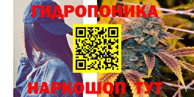 дживик Бийск
