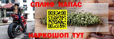 дживик Бийск
