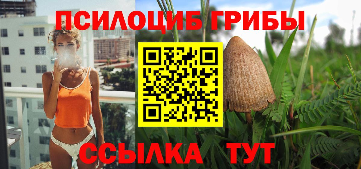 Галлюциногенные грибы ЛСД  Вход с VPN  Избербаш 